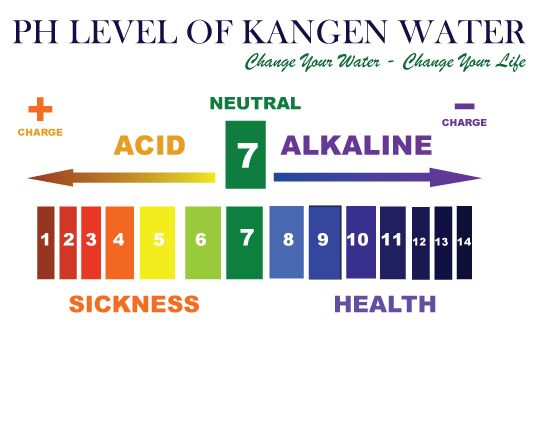 Ph Level Of Kangen